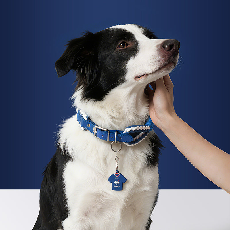 France FFF Pet Woven Collar